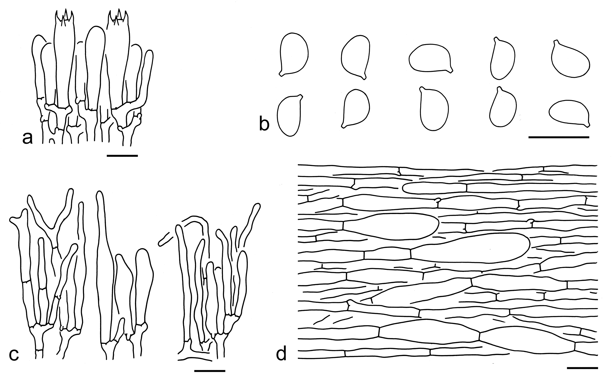 Figure 77